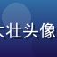 17c一起用户大壮头像，男性科技爱好者
